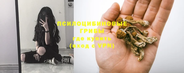 стафф Абинск