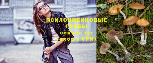 стафф Абинск