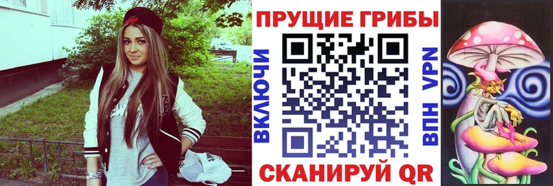 Галлюциногенные грибы GOLDEN TEACHER  Судогда 